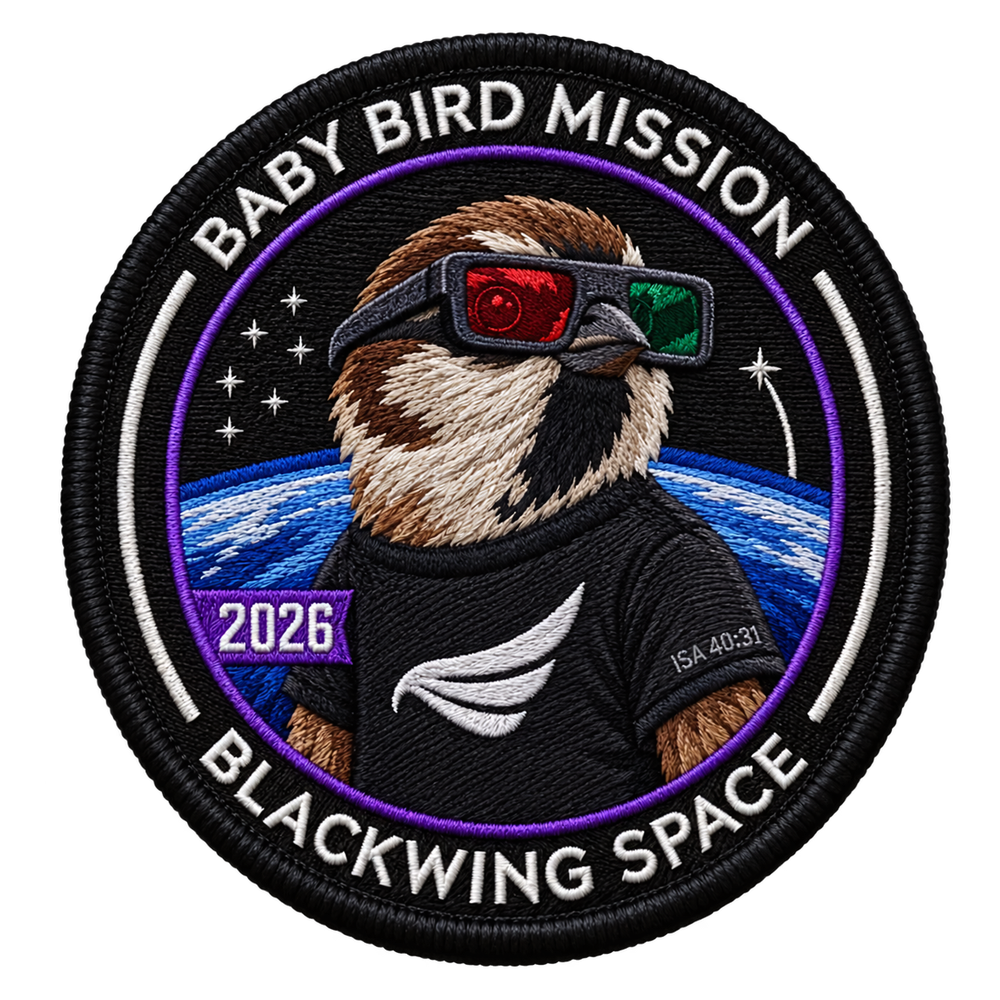 Baby Bird Mission Patches - 5 Pack